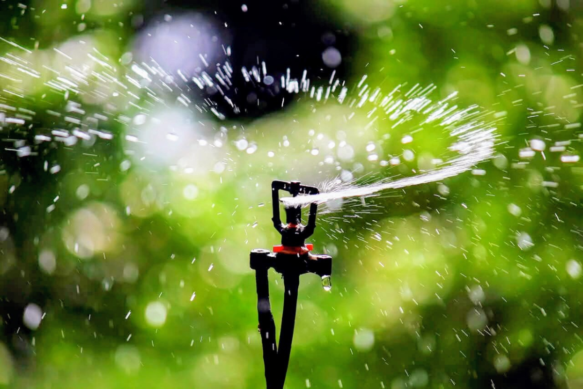 Rio Rancho residents must follow outdoor watering restrictions starting April 1, through Oct. 31, under the city's annual water conservation program.