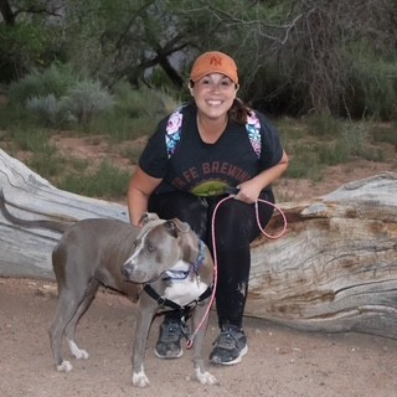 Sandoval County animal shelter wins $9,500 for holiday adoption program