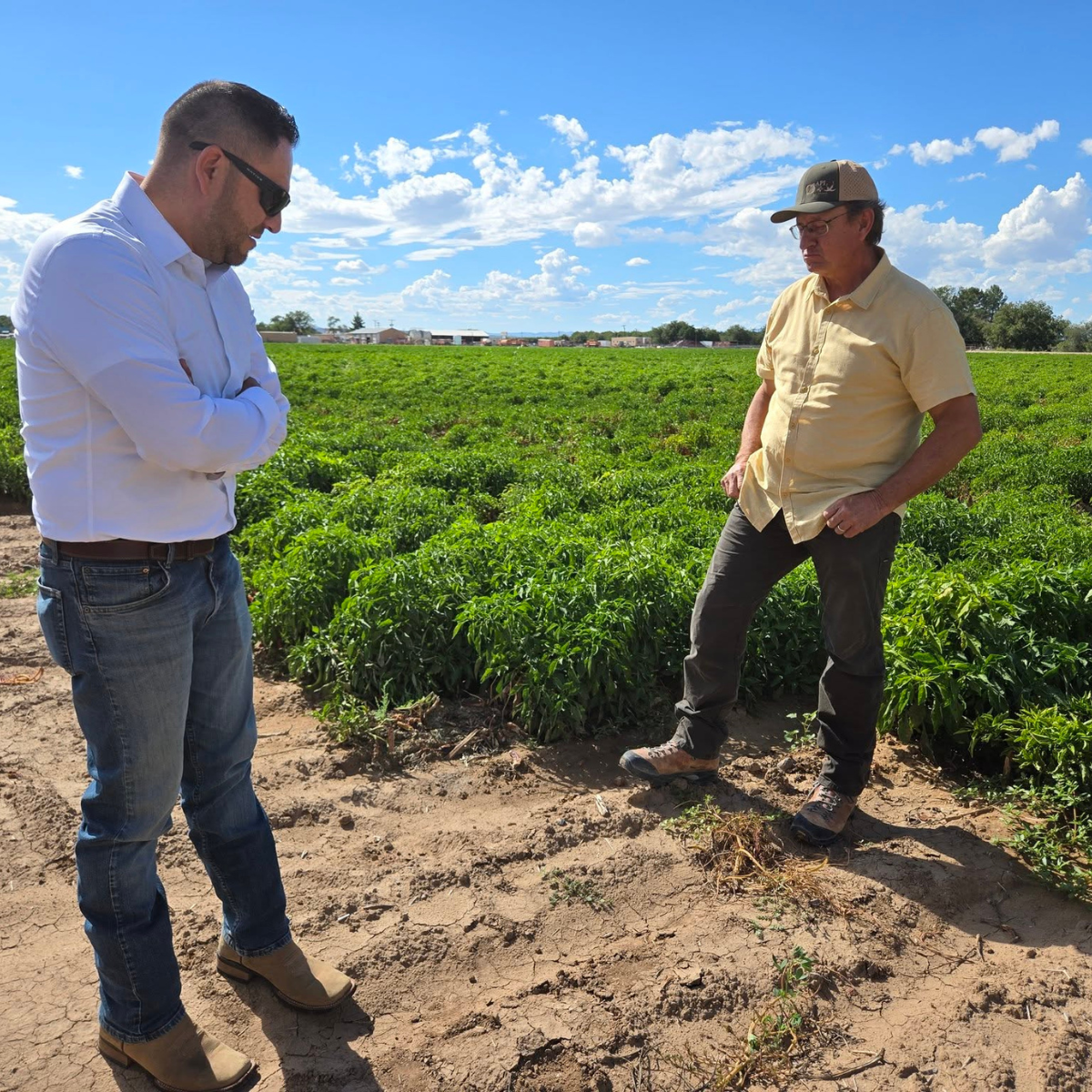 U.S. House passes Farm Bill with 9 bills for ranchers, farmers from N.M.’s Rep. Vasquez