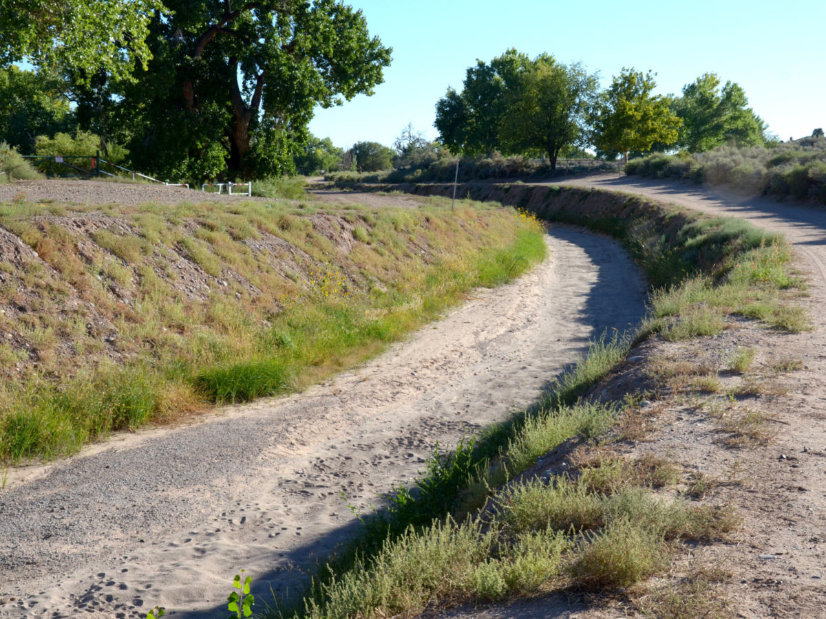 The Corrales irrigation ditch. (Jesse Jones)