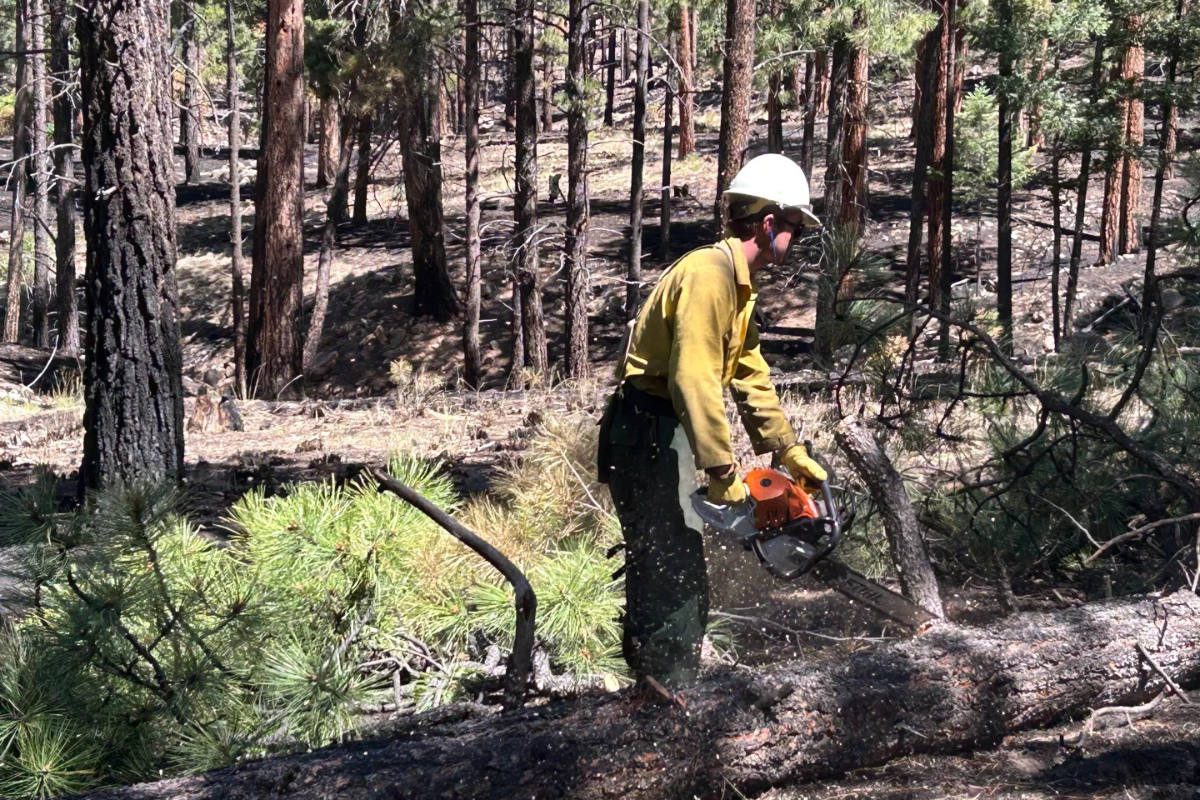 After six days of evacuation, residents of Sierra de los Pinos can finally sleep in their own beds again. Sandoval County and fire officials began a phased return to the community Tuesday morning, even as crews continue battling the 712-acre McCauley Springs Fire east of Battleship Rock.