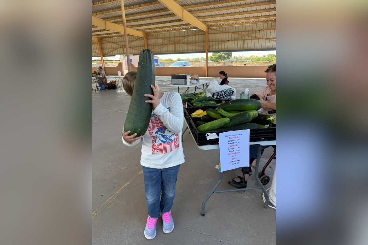 Your Friday evening plans just got an upgrade. The Bernalillo Farmers Market opens today at Rotary Park Pavilion, kicking off its weekly run with local growers, bakers, beekeepers and more — all under one roof, every Friday from 4 to 7 p.m.
