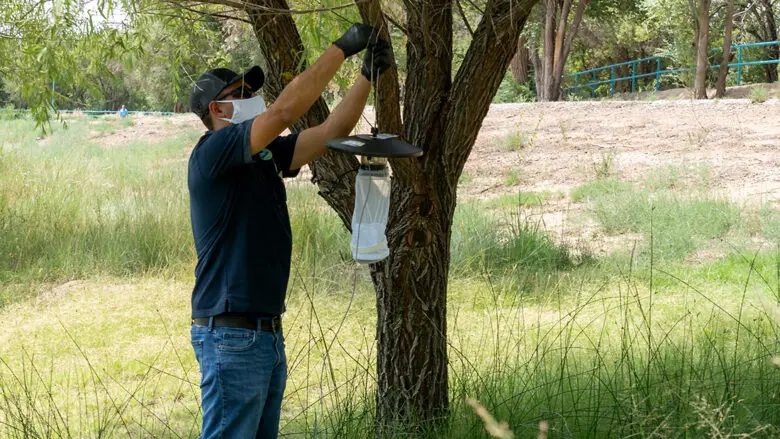An Albuquerque Environmental Health Department employee deploys a mosquito surveillance trap. The city's five-person Urban Biology team uses data collected from these traps to monitor roughly 20 local species and track high-priority public health threats like West Nile virus. (CABQ)
