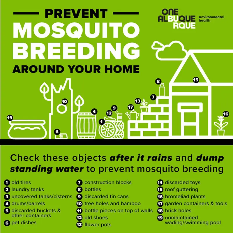 Tips from the city to prevent mosquito breeding (CABQ)