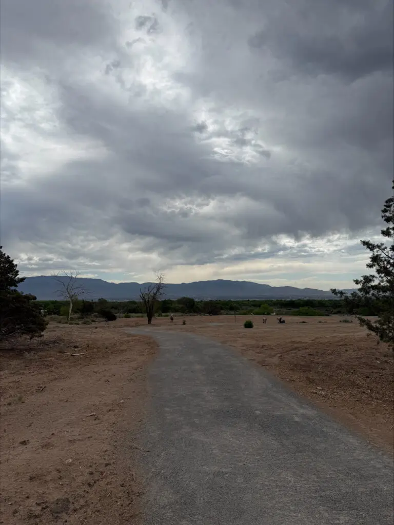 San Antonio Oxbow Open Space preview, June 2026 (Courtesy, City of ABQ)