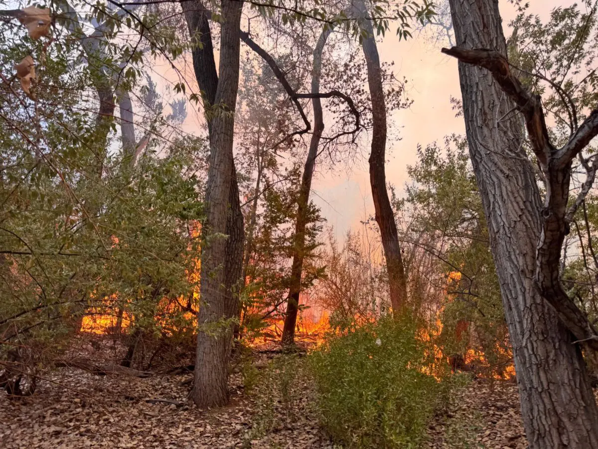 AFR responds to a Bosque fire on July 4, 2026 (Courtesy AFR)