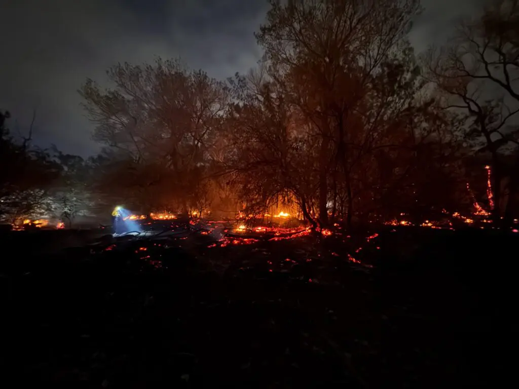 AFR responds to a Bosque fire on July 4, 2026 (Courtesy AFR)