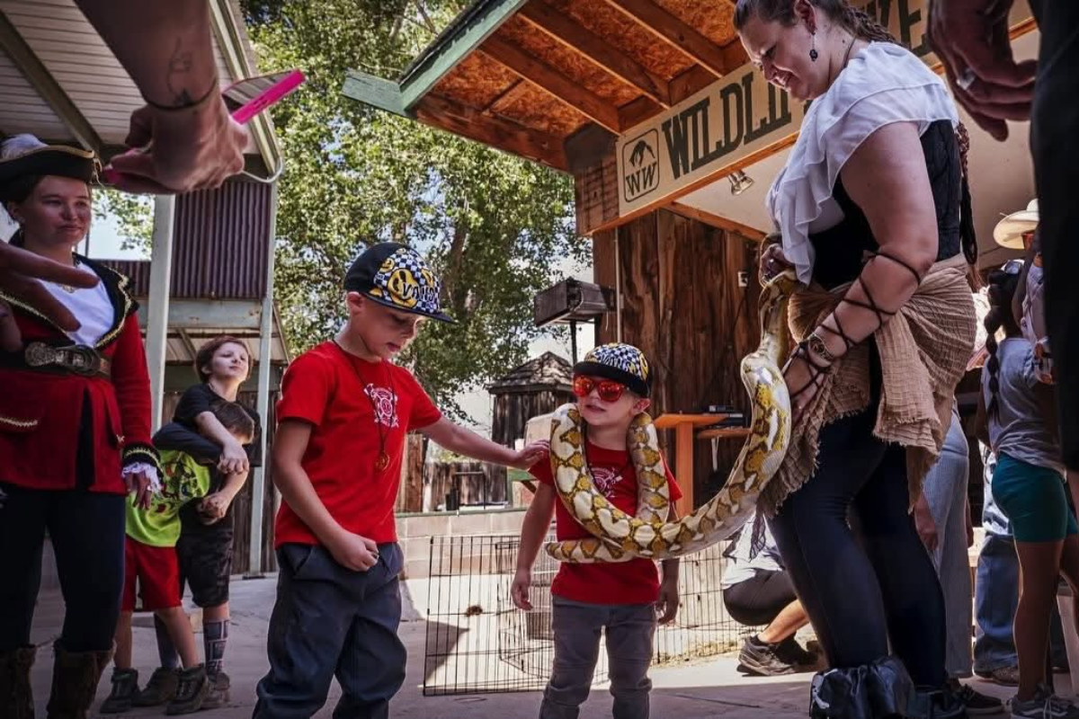 Drums of the North and cannon fire return to Edgewood in August when the Pirate Viking Summer Festival sails back into Wildlife West Nature Park for its seventh year, promising two days of history, fantasy and full-throated adventure in the Southwest.
