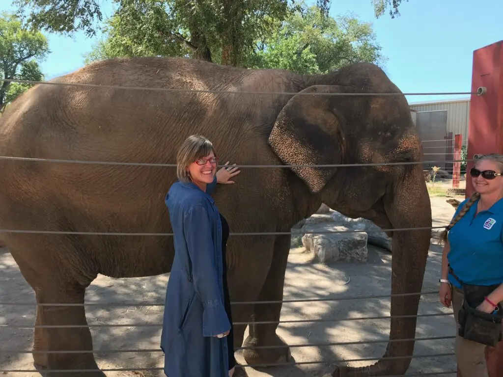 Dr. Shelle Sanchez with one of the elephants from the ABQ BioPark (Courtesy of the Department of Arts & Culture, City of Albuquerque)