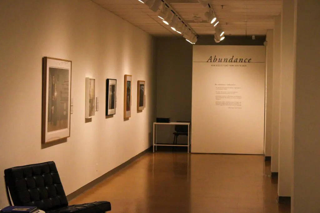 Part of the Abundance exhibition (Photo by Julian Paras)