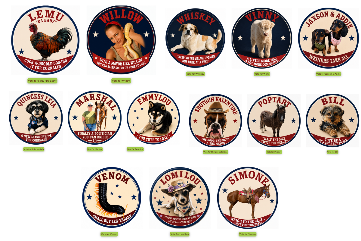 Corrales' most unconventional election is in full swing, and this year's crop of candidates — a rooster, a mini highland calf and a dachshund duo among them — has already raised nearly $4,000 for Corrales Animal Services, the village's no-kill shelter.