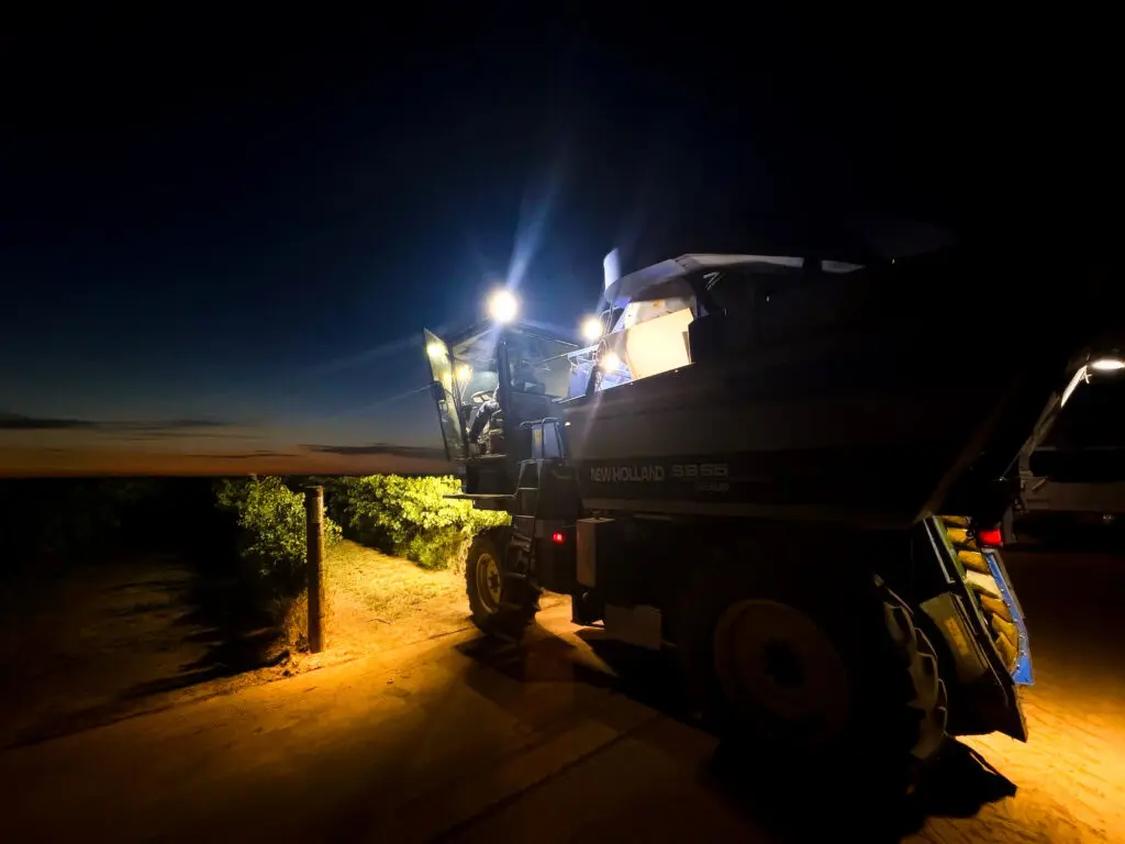 The first day of harvest in 2026 for Lescombes Family Vineyard (Courtesy of Lescombes Family Vineyard)