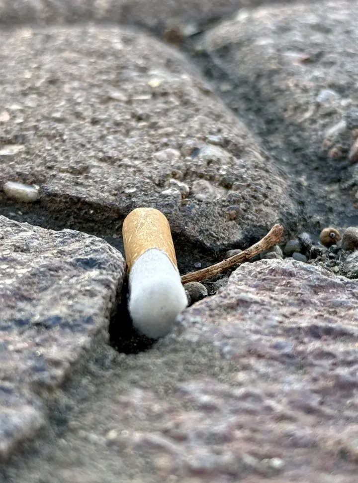 A discarded cigarette butt rests on a sidewalk in ABQ Uptown. Albuquerque is suing major tobacco companies, seeking to recover the costs of cleaning up plastic filters that can pollute local waterways and clog storm drains. Photo by Roberto E. Rosales /