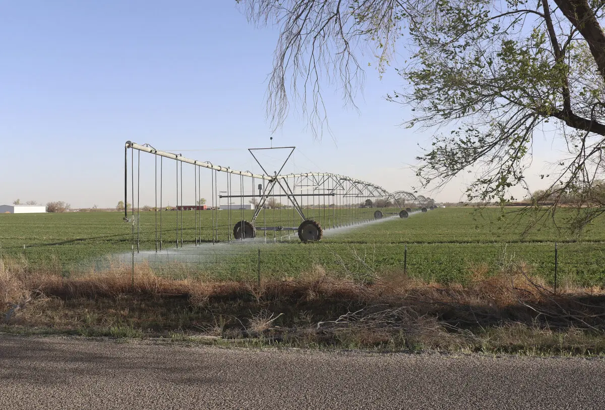 Irrigation of an agricultural property along the 2600 block of East 19th Street in March 2026