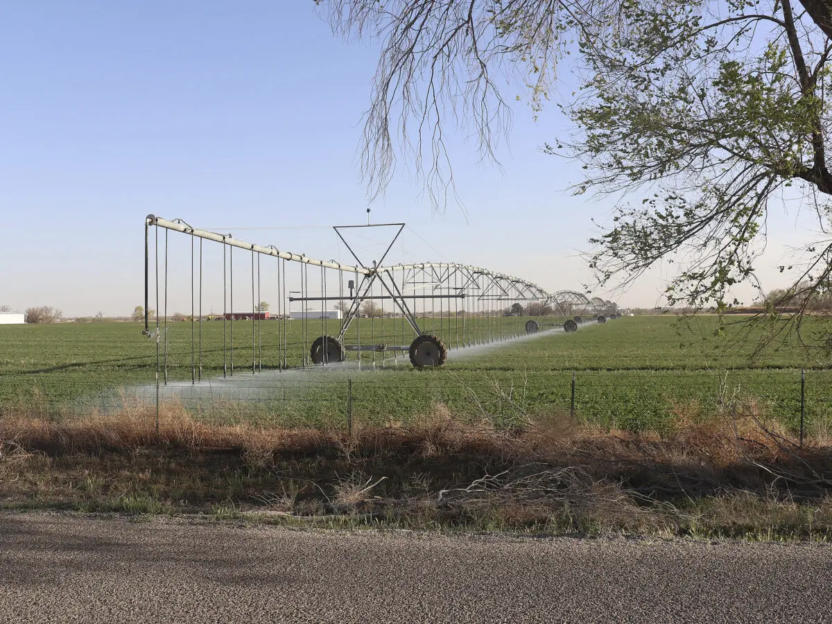 Chaves County seeks state help to clean up brackish water for future ag use