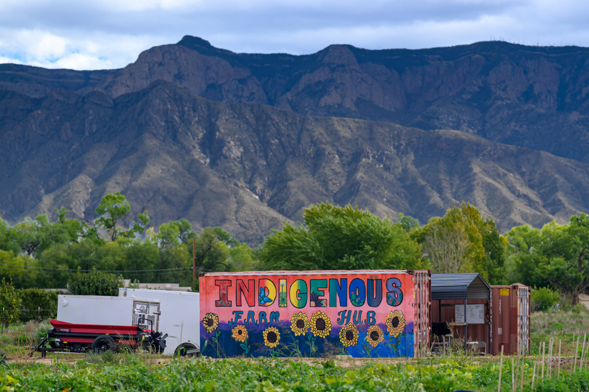 Pictured is the Indigenous Farm Hub in Corrales, NM. The Indigenous Farm Hub engages Indigenous communities in creating a network of farmers and families that strengthens local and sustainable food systems by providing access to healthy foods. Photo by Roberto E. Rosales for the Paper