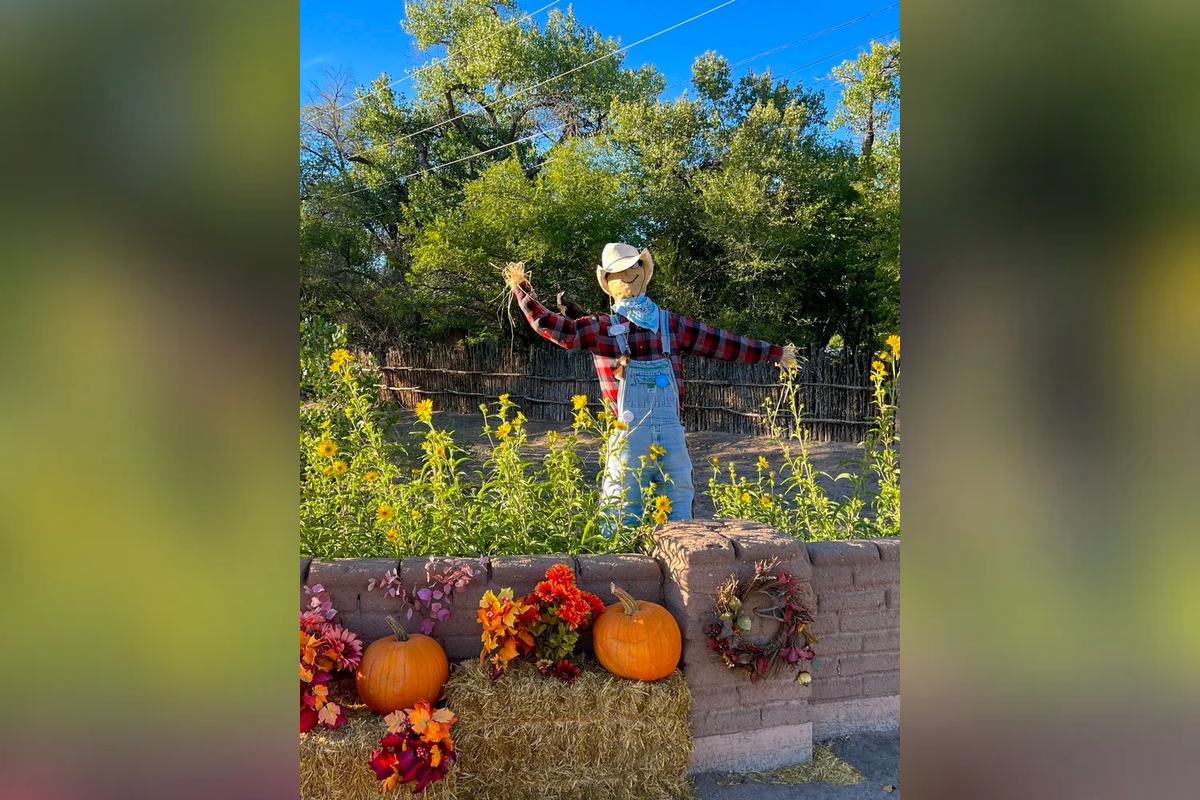 Corrales residents now decide which straw-stuffed creation rules the roost. Voting is open in the 2026 Corrales MainStreet Scarecrow Contest.