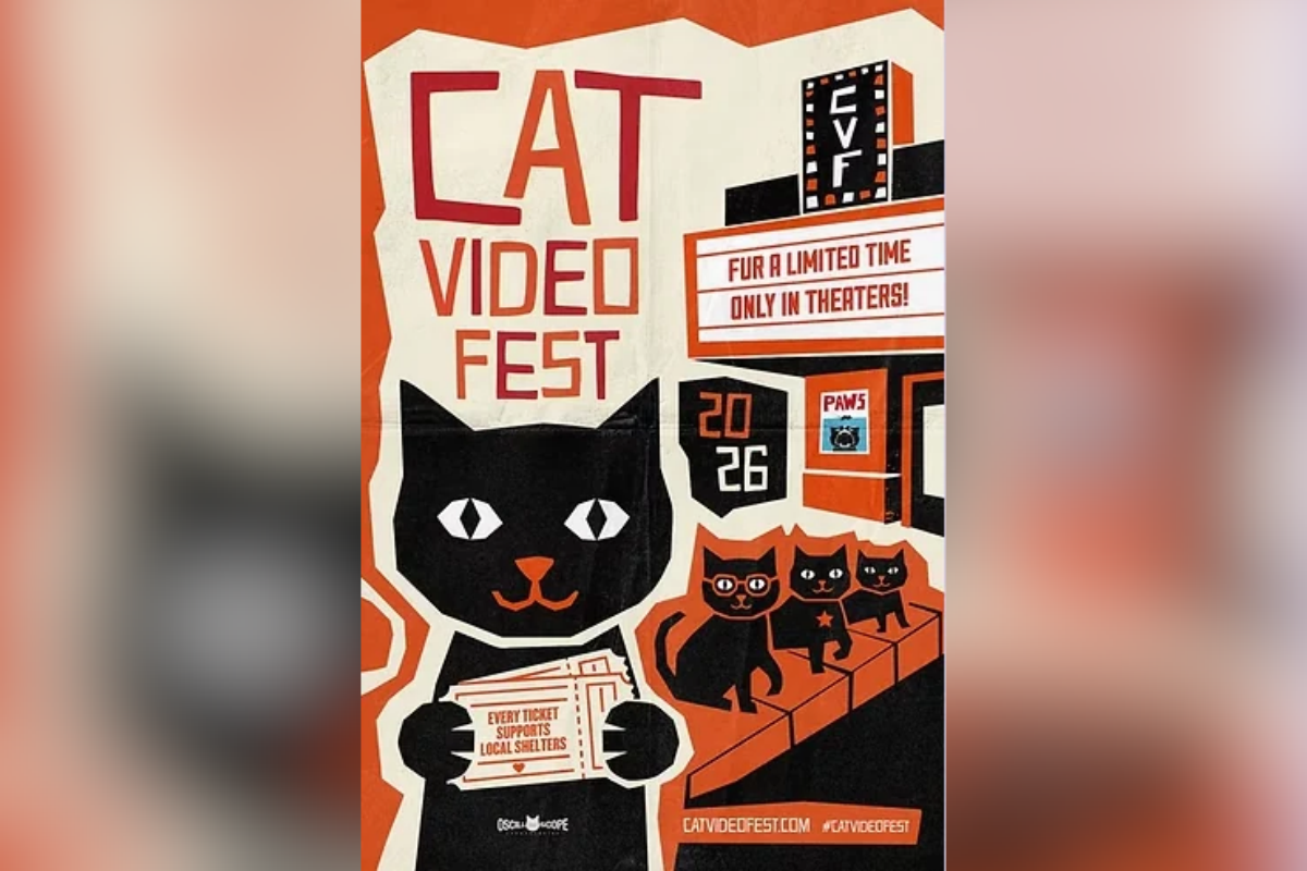 Cat lovers can stop doomscrolling and start scrolling for a cause, this time on a much bigger screen. The 2026 CatVideoFest lands at the Guild Cinema on Sunday, Nov. 15, and part of every ticket helps a Corrales nonprofit rescue cats and find them homes.