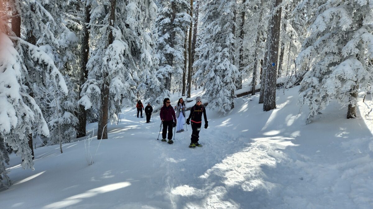 Snowshoe Classic
