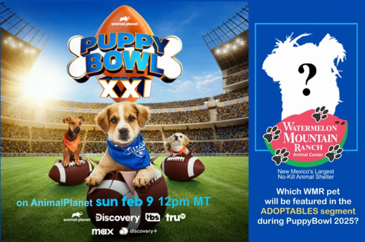 Puppy Bowl