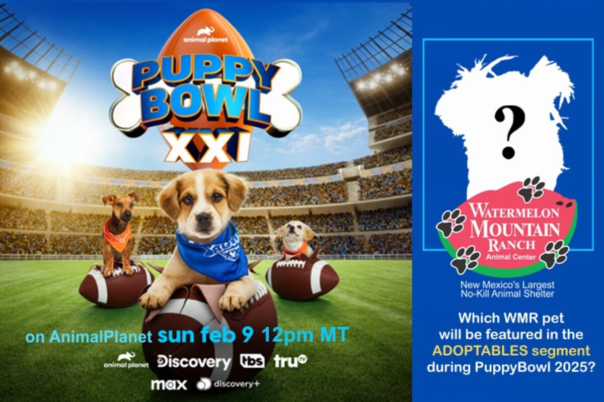Puppy Bowl