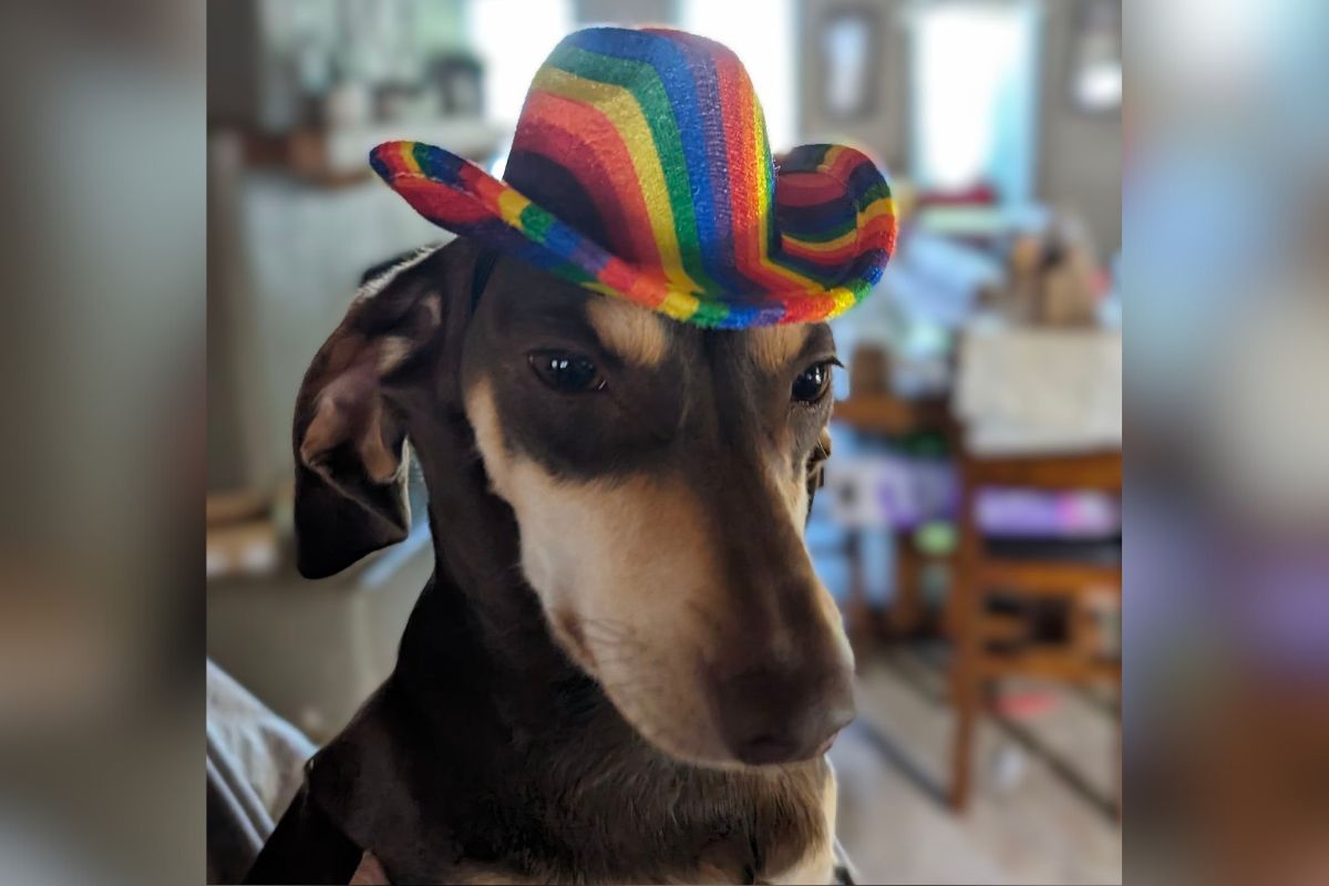 Pride in Sandoval County