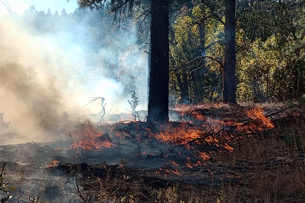 Mountainair Ranger District Capilla Prescribed Fire on October 24, 2024