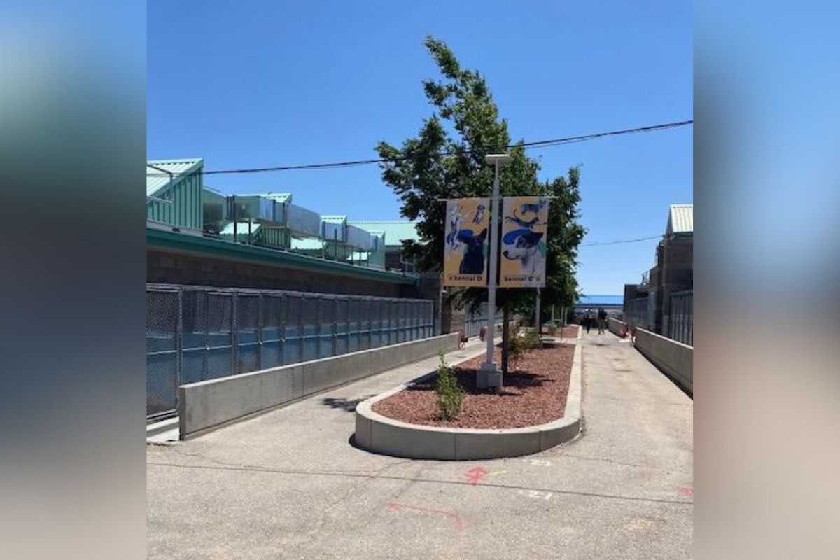 Westside animal shelter