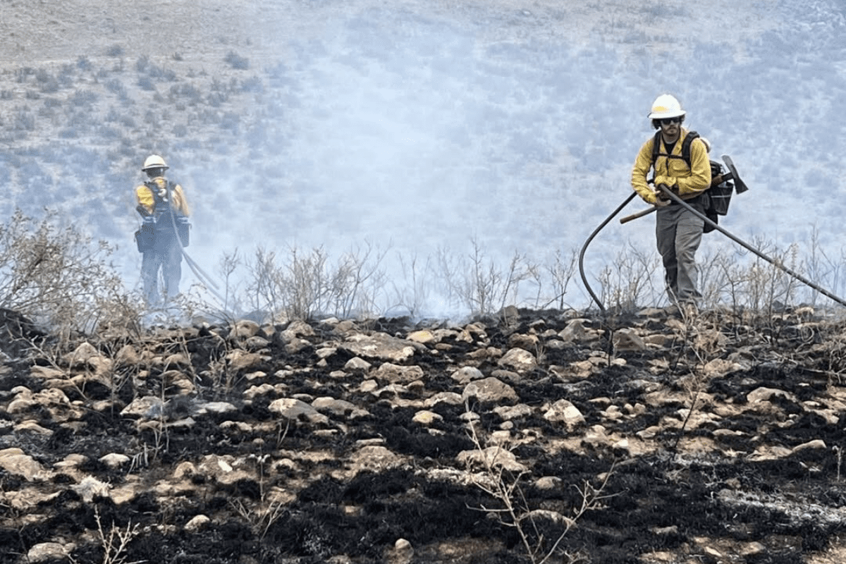 Crews fight the Buck Fire north of Silver City on Monday. The Buck Fire and nearby Trout Fire grew significantly since Monday, with both having burned more than 80,000 acres. (Photo courtesy Bureau of Land Management)