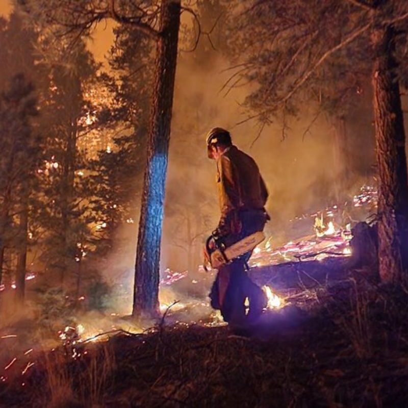 New Mexico wants FEMA to pay for years of wildfire recovery costs