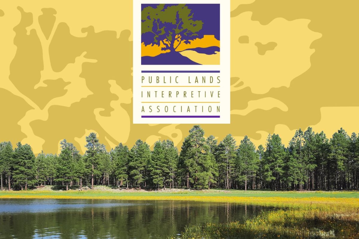 The Public Lands Interpretive Association will open a new discovery center in Albuquerque's Old Town next month, marking an expansion of the nonprofit's educational outreach efforts.