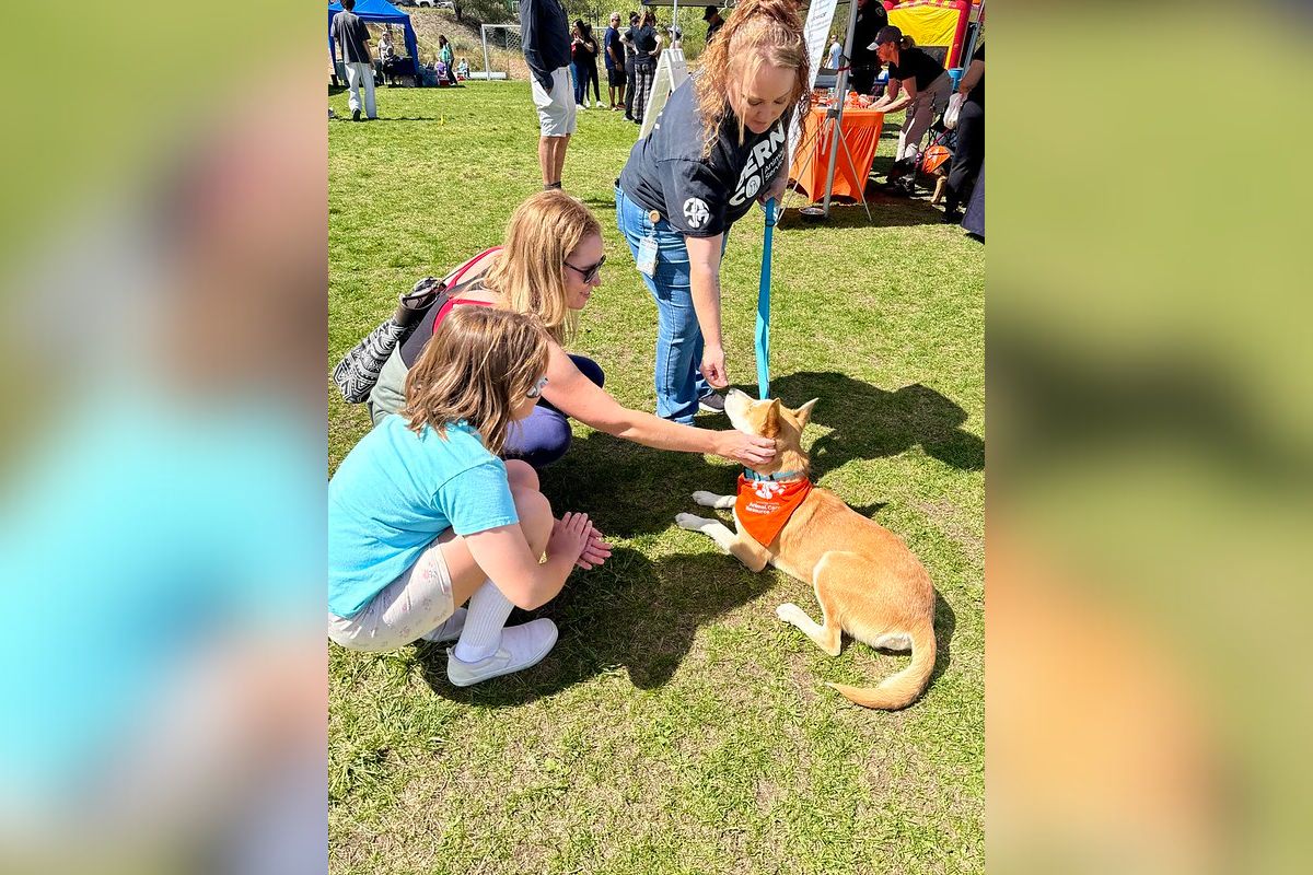 Bernalillo County's annual East Mountain Celebration returned Saturday, drawing families to the Vista Grande Community Center for an afternoon of entertainment, food and community recognition.