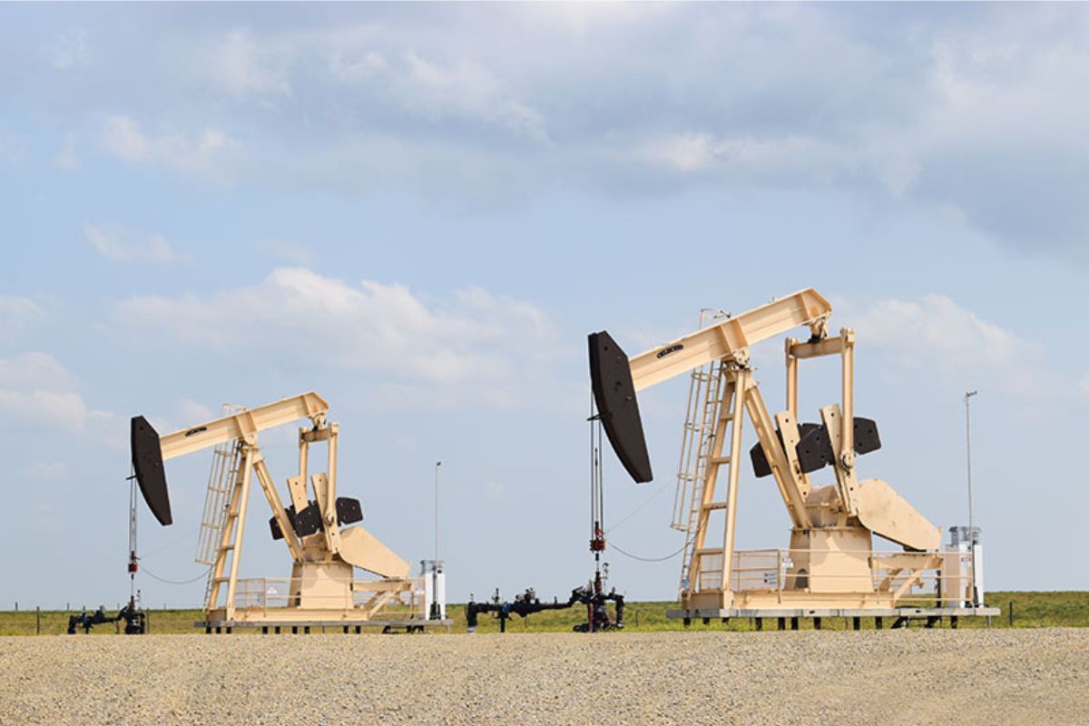 Endurance Technologies Inc., a Calgary-based company that has served oil and gas, agriculture, mining and industrial sectors for more than 30 years, has narrowed its multistate search to Las Cruces as a candidate, according to company officials.