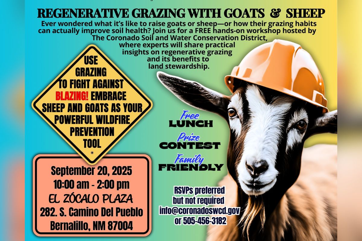 The Coronado Soil and Water Conservation District will host a free hands-on workshop on regenerative grazing with goats and sheep on Sept. 20 at El Zócalo Plaza in Bernalillo.