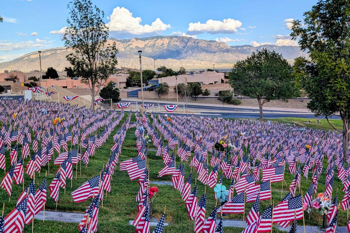 Volunteers placed nearly 3,000 flags at Vista Verde Memorial Park in honor of the victims of the 9/11 attacks. (Kevin Hendricks)