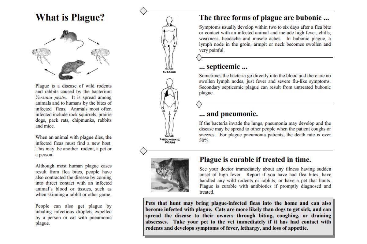 A 77-year-old man from Bernalillo County has contracted plague, marking the second case reported in New Mexico this year, state health officials announced Wednesday.