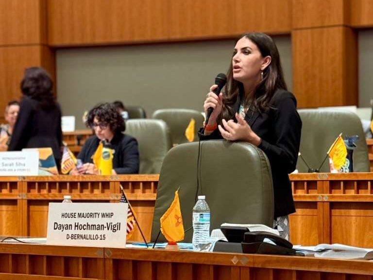 State Rep. Day Hochman-Vigil (D-ABQ)