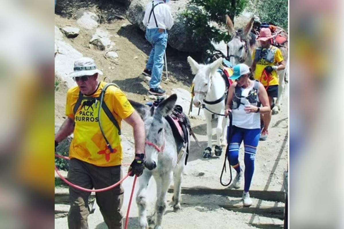 New Mexico Pack Burros will compete at Adventure Pitch Fest on Nov. 6 at the Albuquerque Rail Yards, according to a department press release. The company creates burro-centric races and events designed to support rural communities.