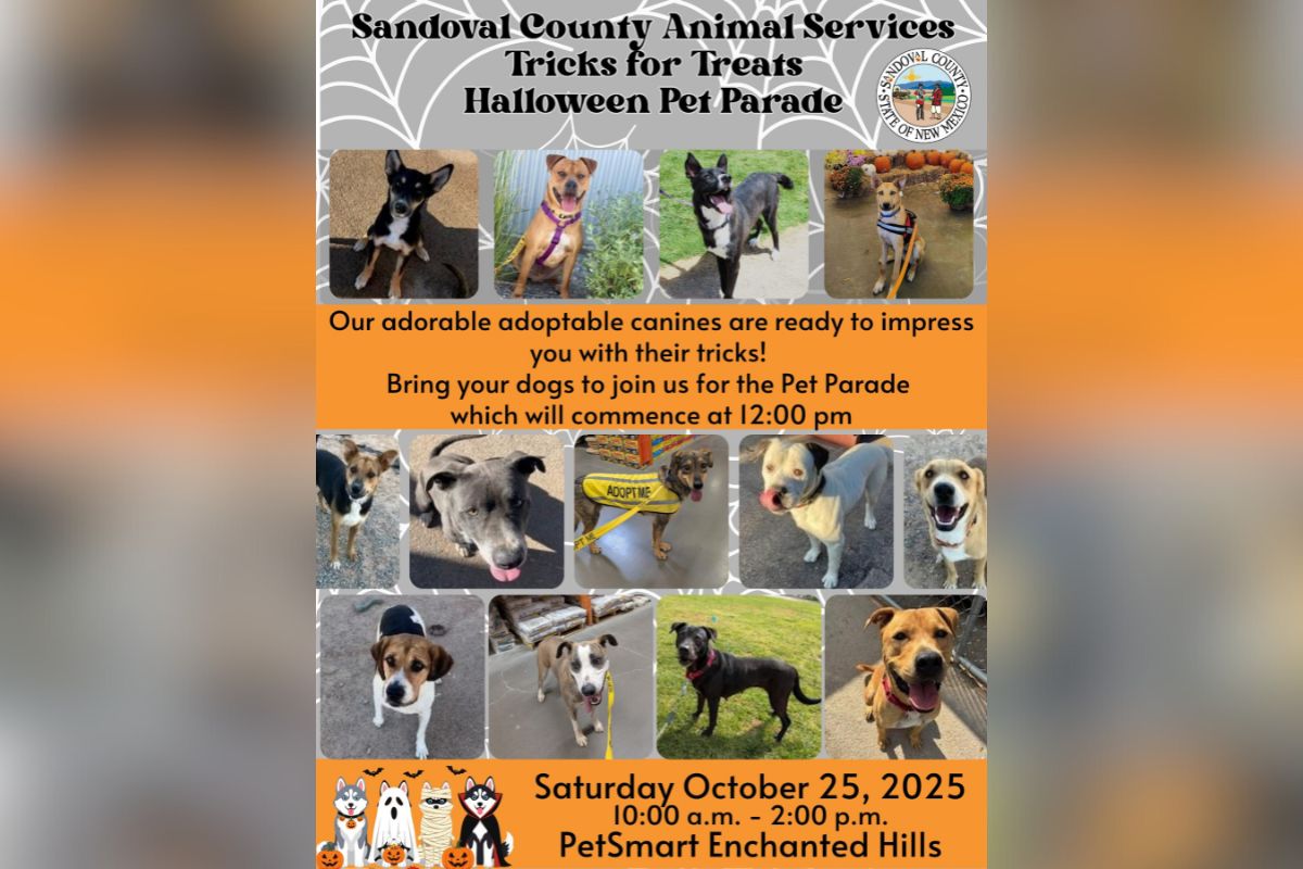 Sandoval County Animal Services will showcase its adoptable dogs during a Halloween-themed "Tricks for Treats" pet parade Saturday at PetSmart Enchanted Hills.