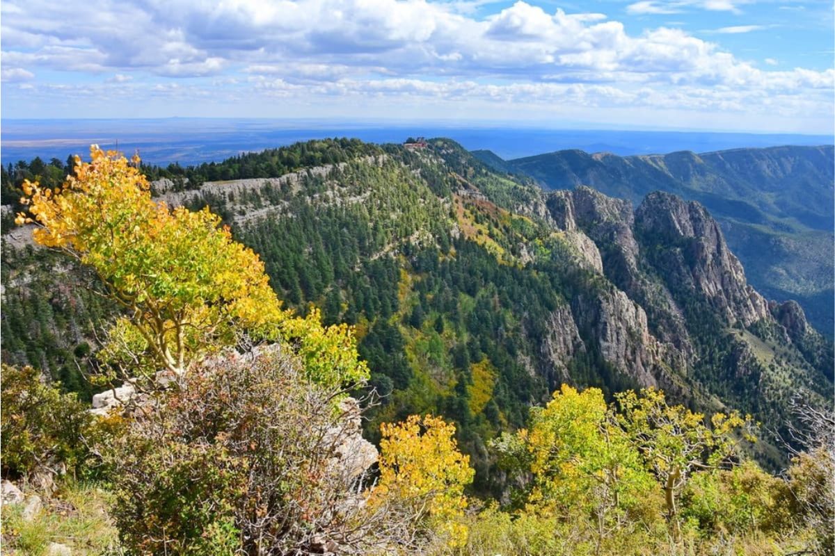 Sandia Ranger District