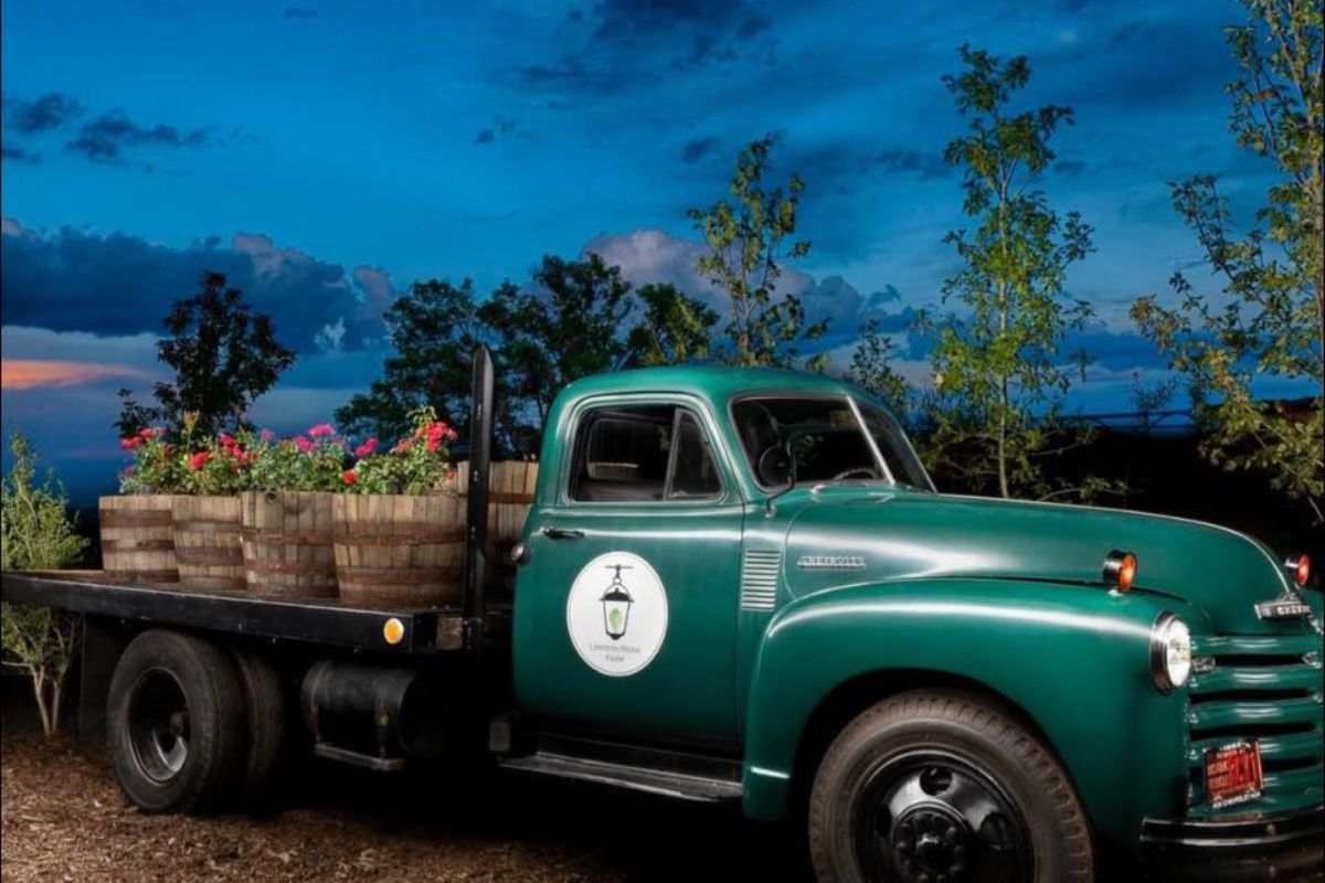 The East Mountains Protection Action Coalition will collect donations from 9 a.m. to 3 p.m. Nov. 28 at Lantern Ridge Farm, 2540 N. Highway 14. The drive coincides with the farm's Black Friday Crafter Market.