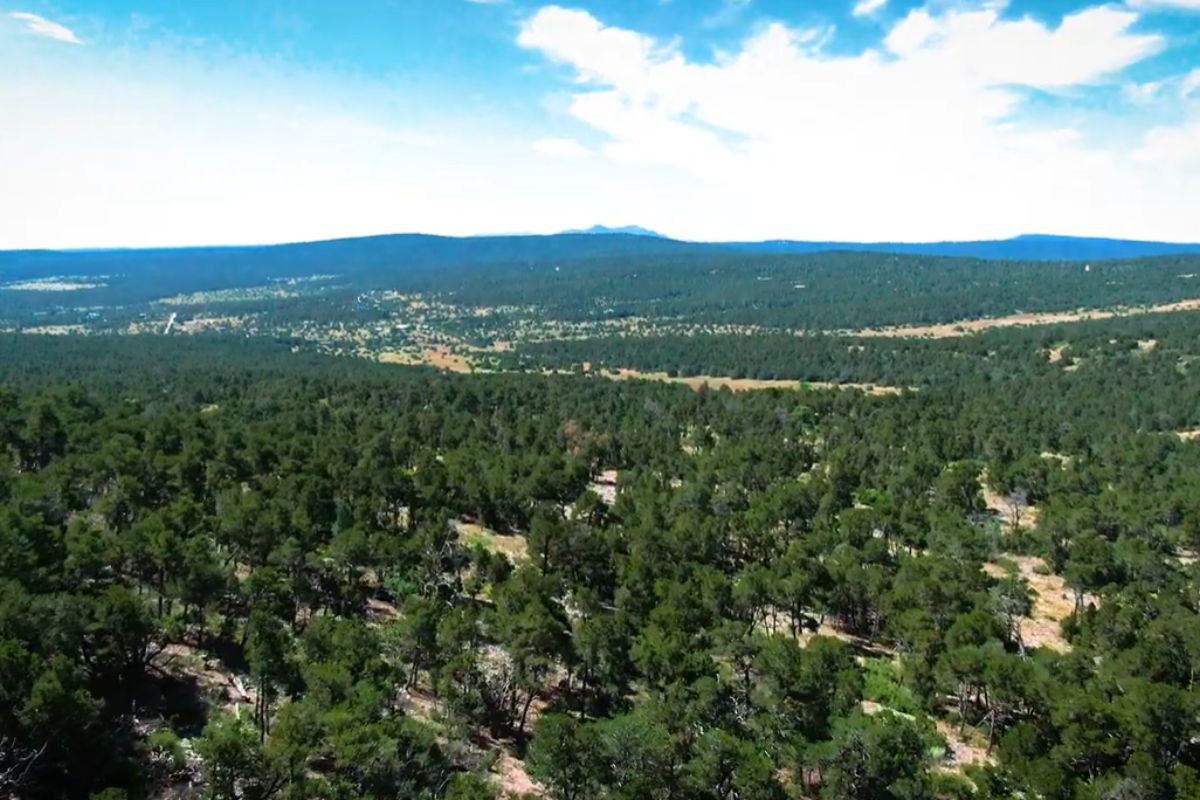 Bernalillo County commissioners approved a master plan Tuesday that will open a long-closed open space property in the East Mountains to public access while prioritizing fire mitigation efforts.