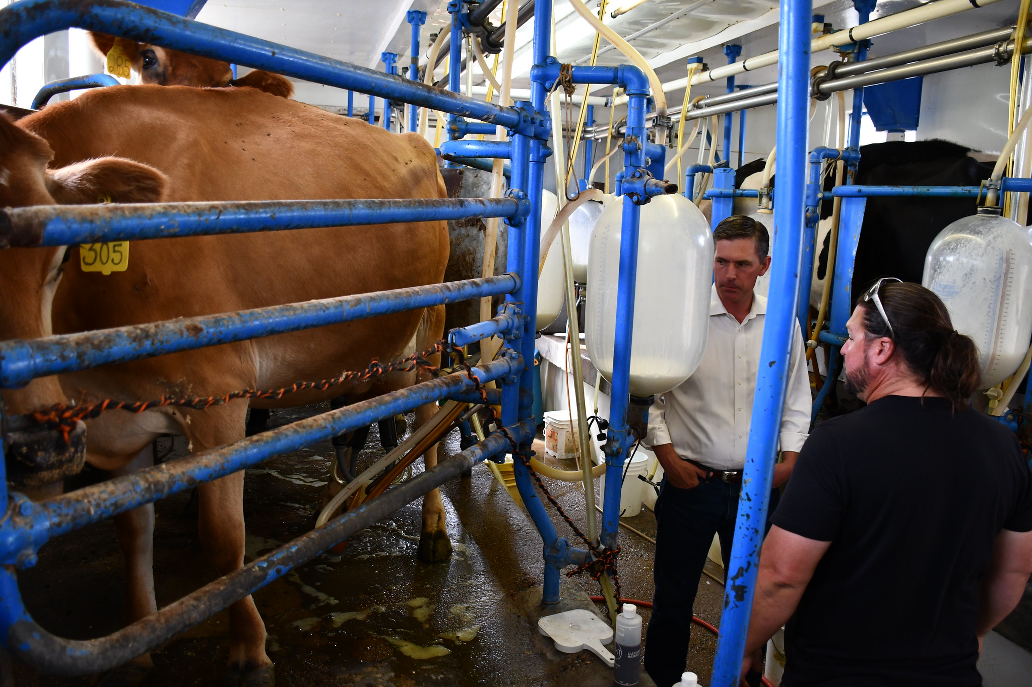 U.S. Senator Martin Heinrich (D-N.M.) continued his Local Food Tour at De Smet Dairy in Bosque Farms, New Mexico’s only Grade A dairy farm and bottling facility for raw milk and pasteurized, non-homogenized milk and yogurt. Heinrich explored the family history behind the dairy and how their dairy cows are free grazing and grass-fed year-round, in addition to being free of hormones, antibiotics, and GMOs.