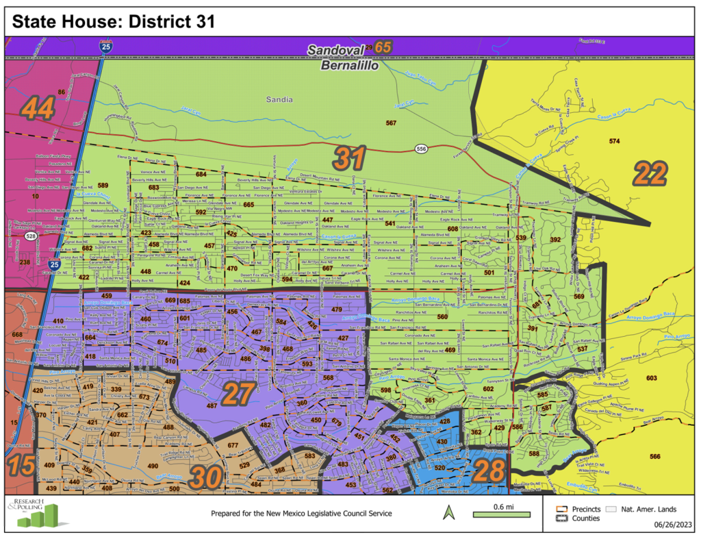 House Dist 31